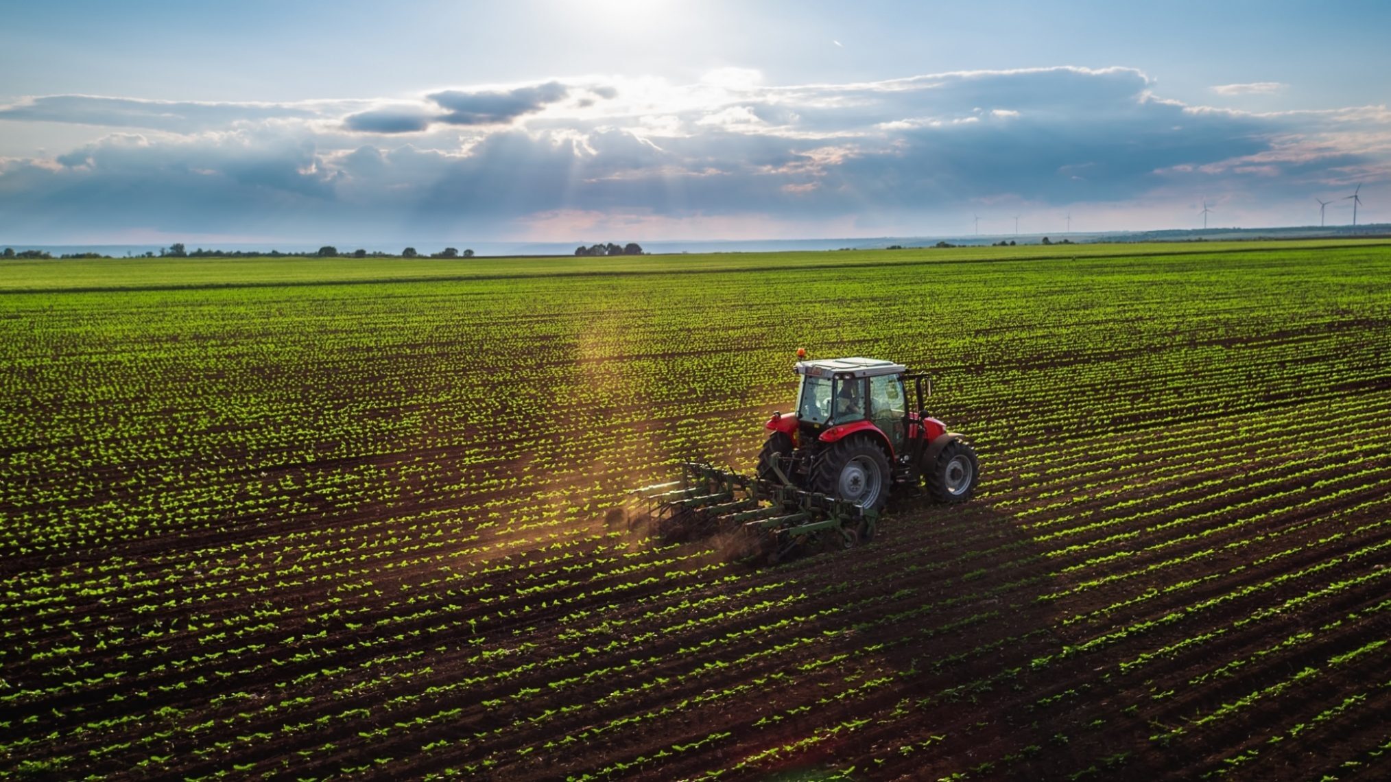 Soil health startup Black Bull Biochar raises £4m
