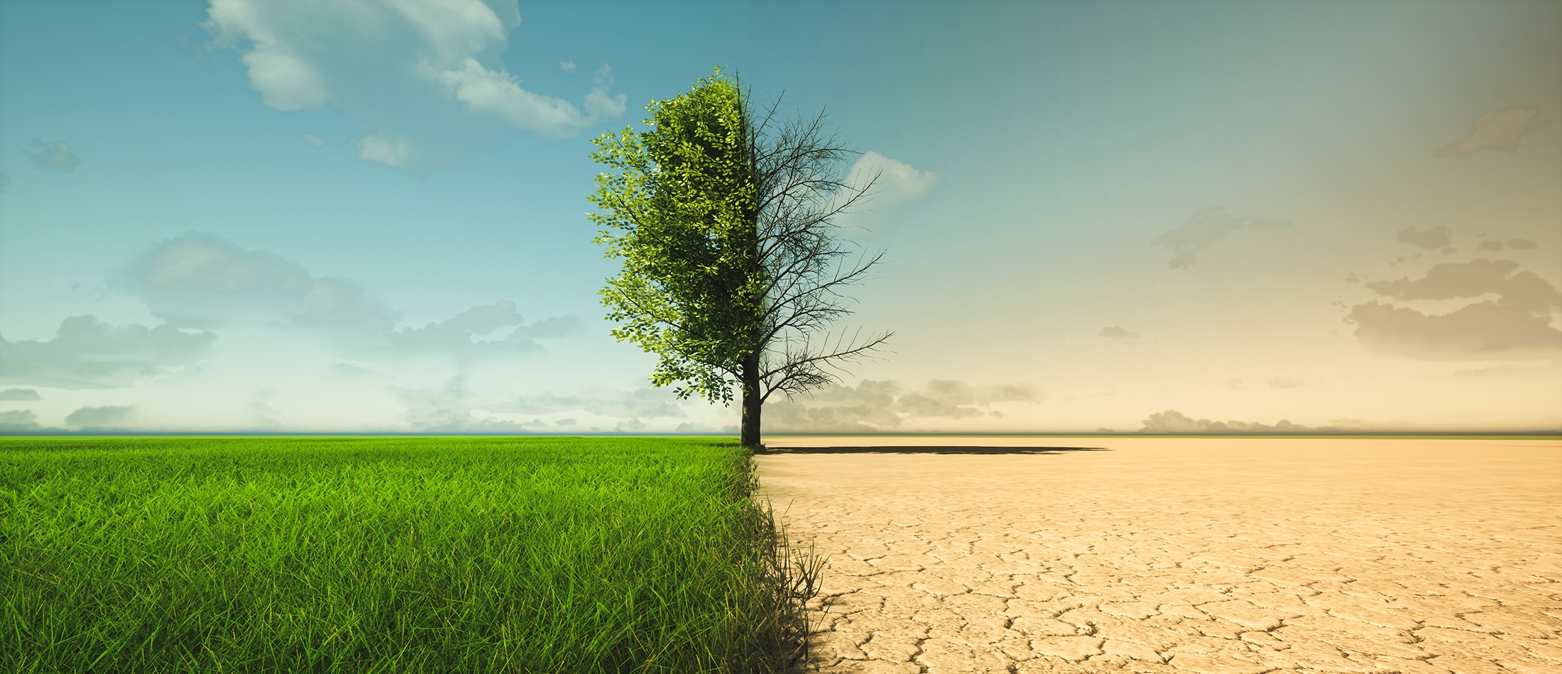 COP27 was important, but fighting climate change requires governments to begin at home