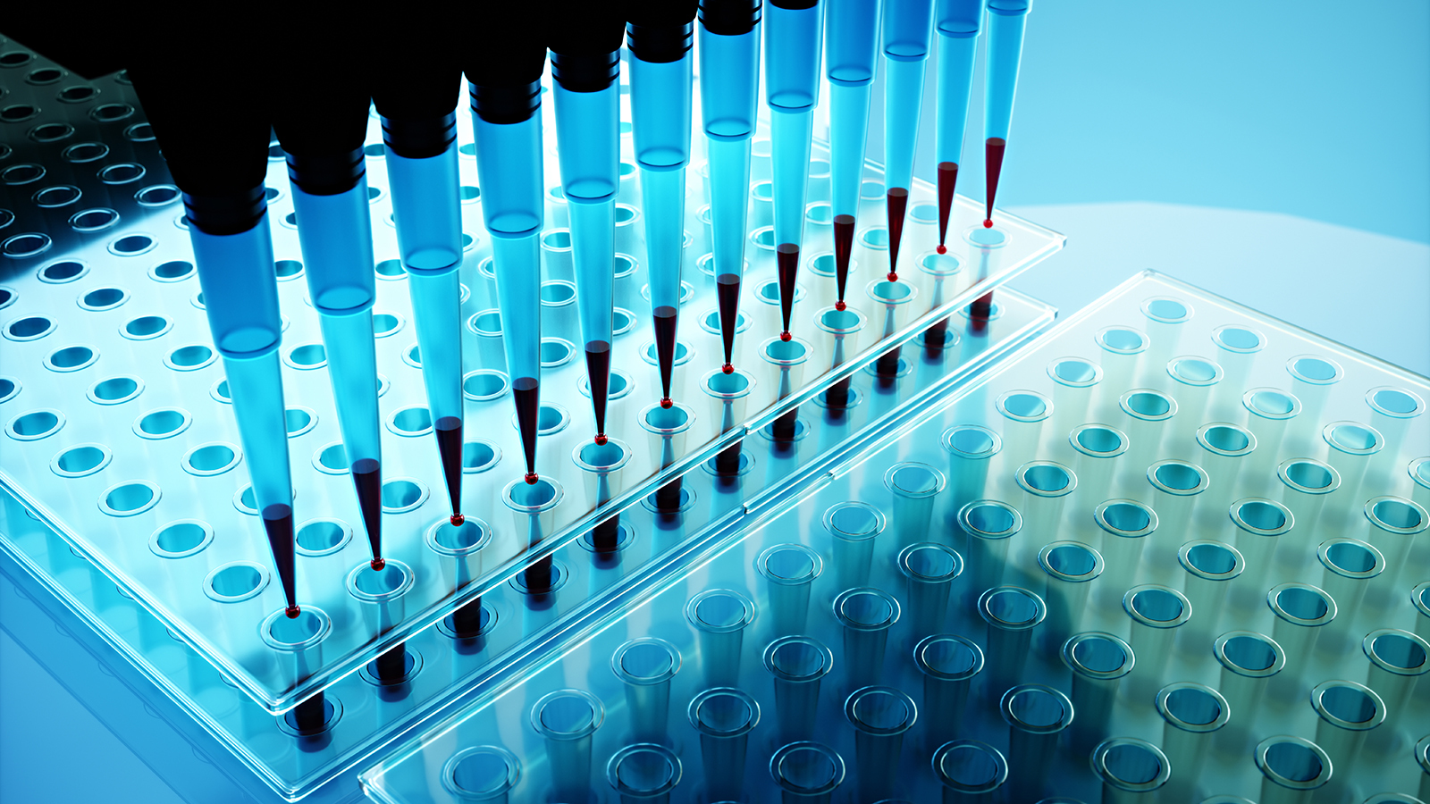Spinout Pheno Therapeutics gets FDA clearance for MS clinical trials