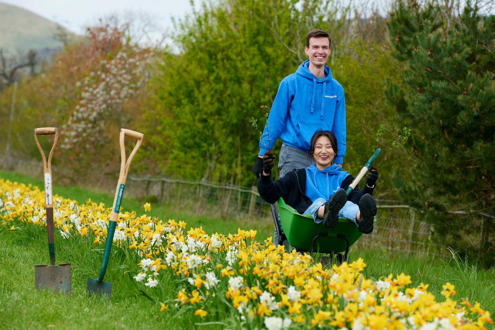 Big Dig: 105 trees for 105 student startups