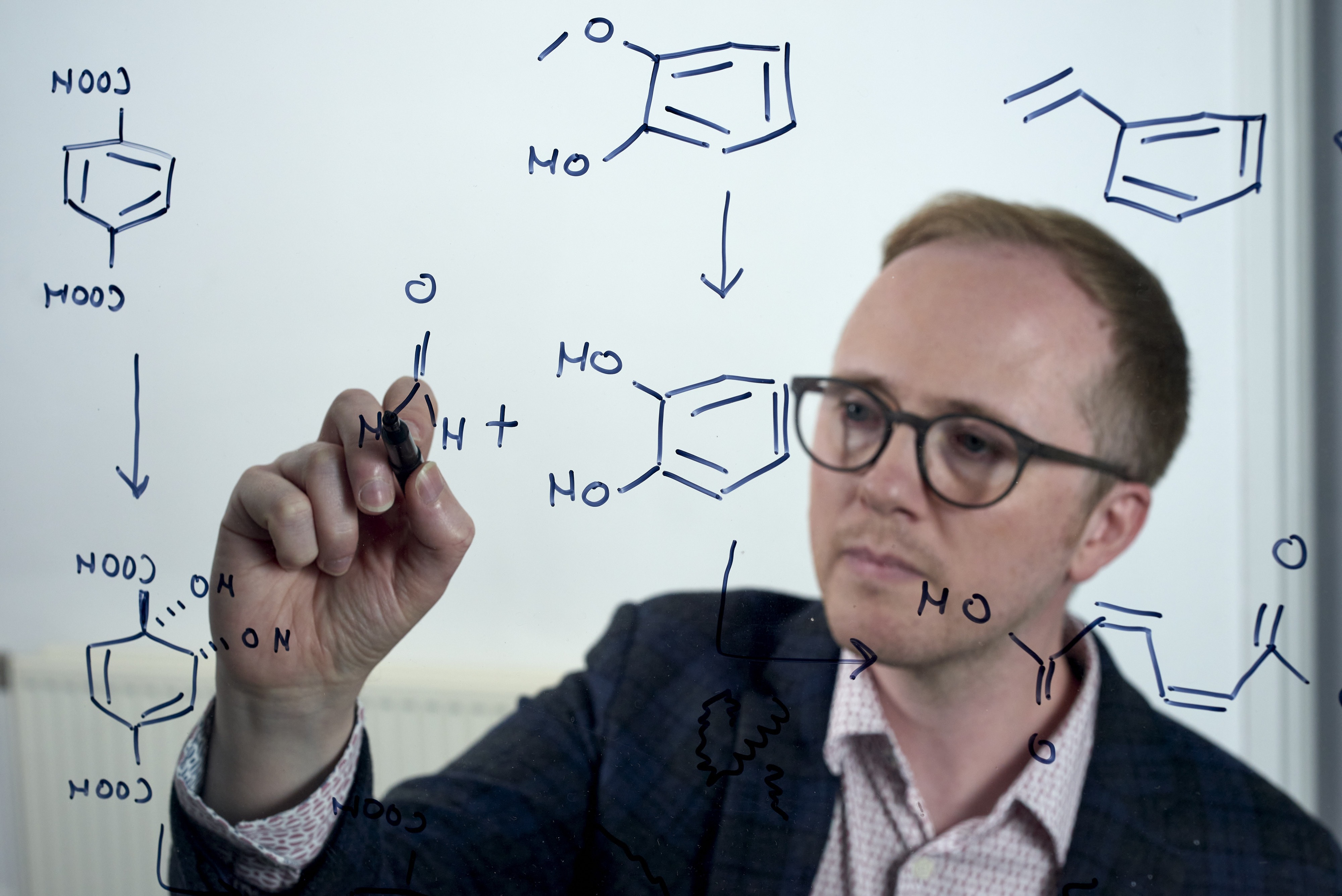 Professor Stephen Wallace