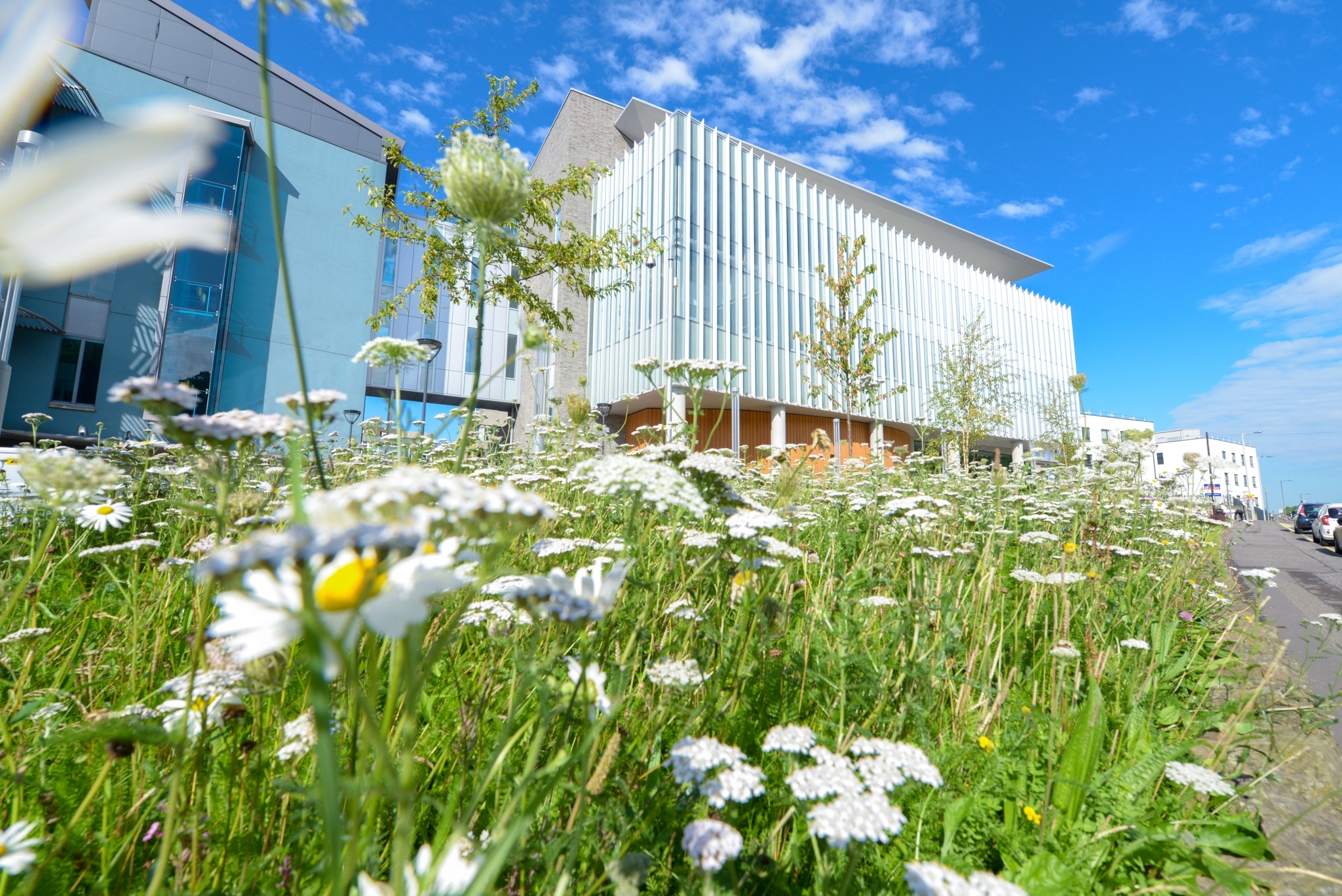 Cancer immunotherapy research among beLAB1407’s first projects