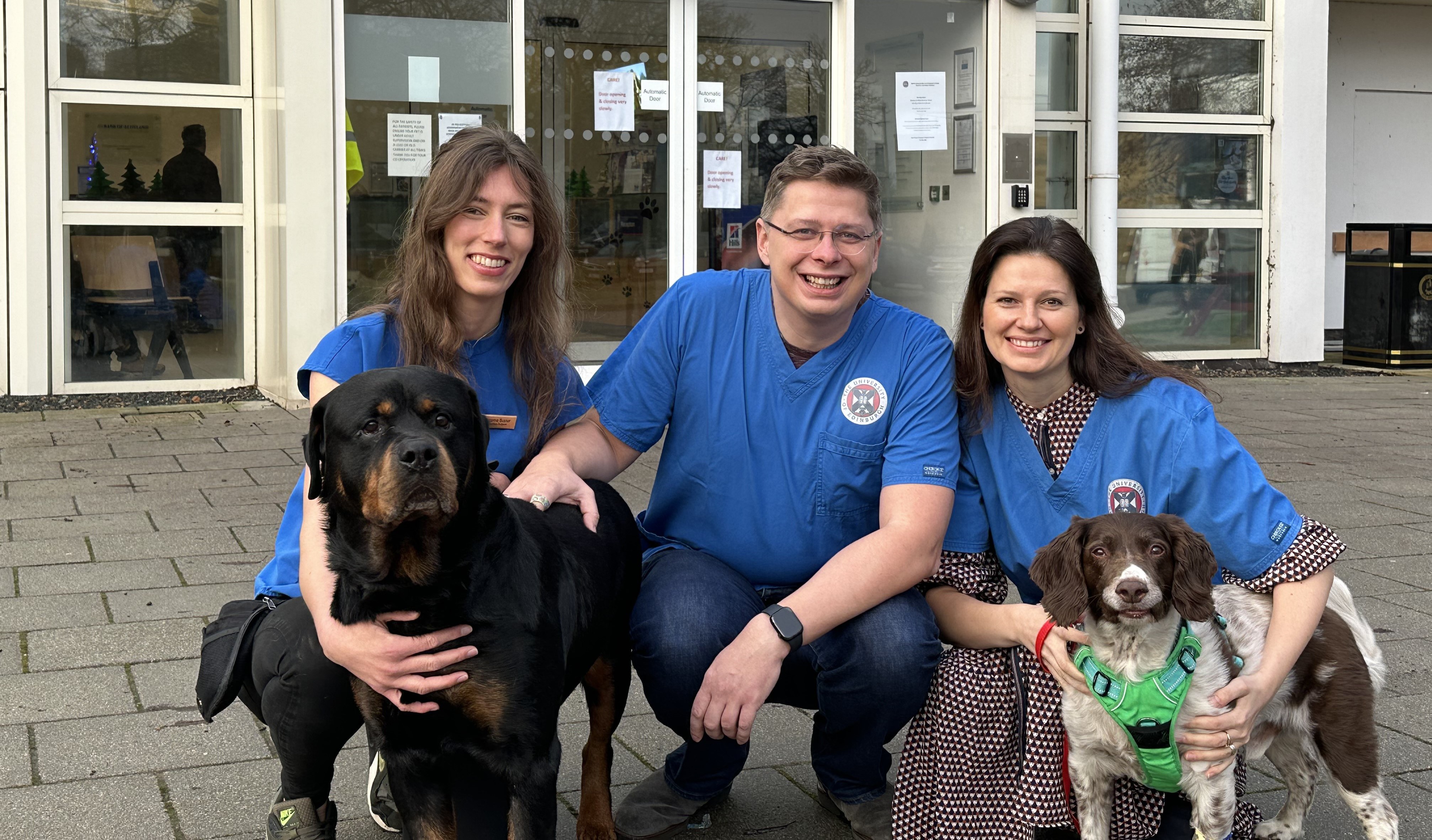 New test monitors progress of cancer in dogs