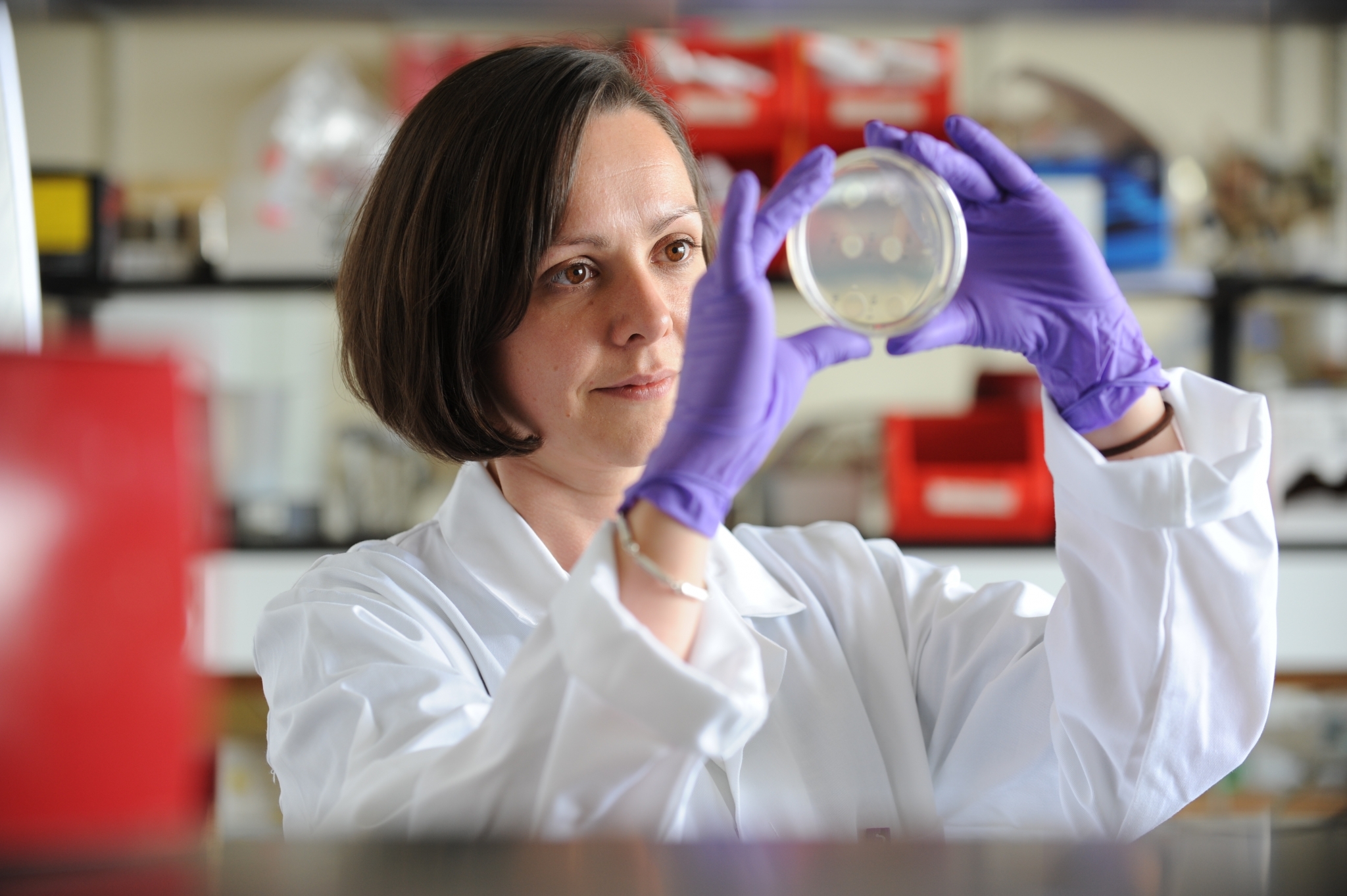 Engineering Biology report showcases Edinburgh expertise