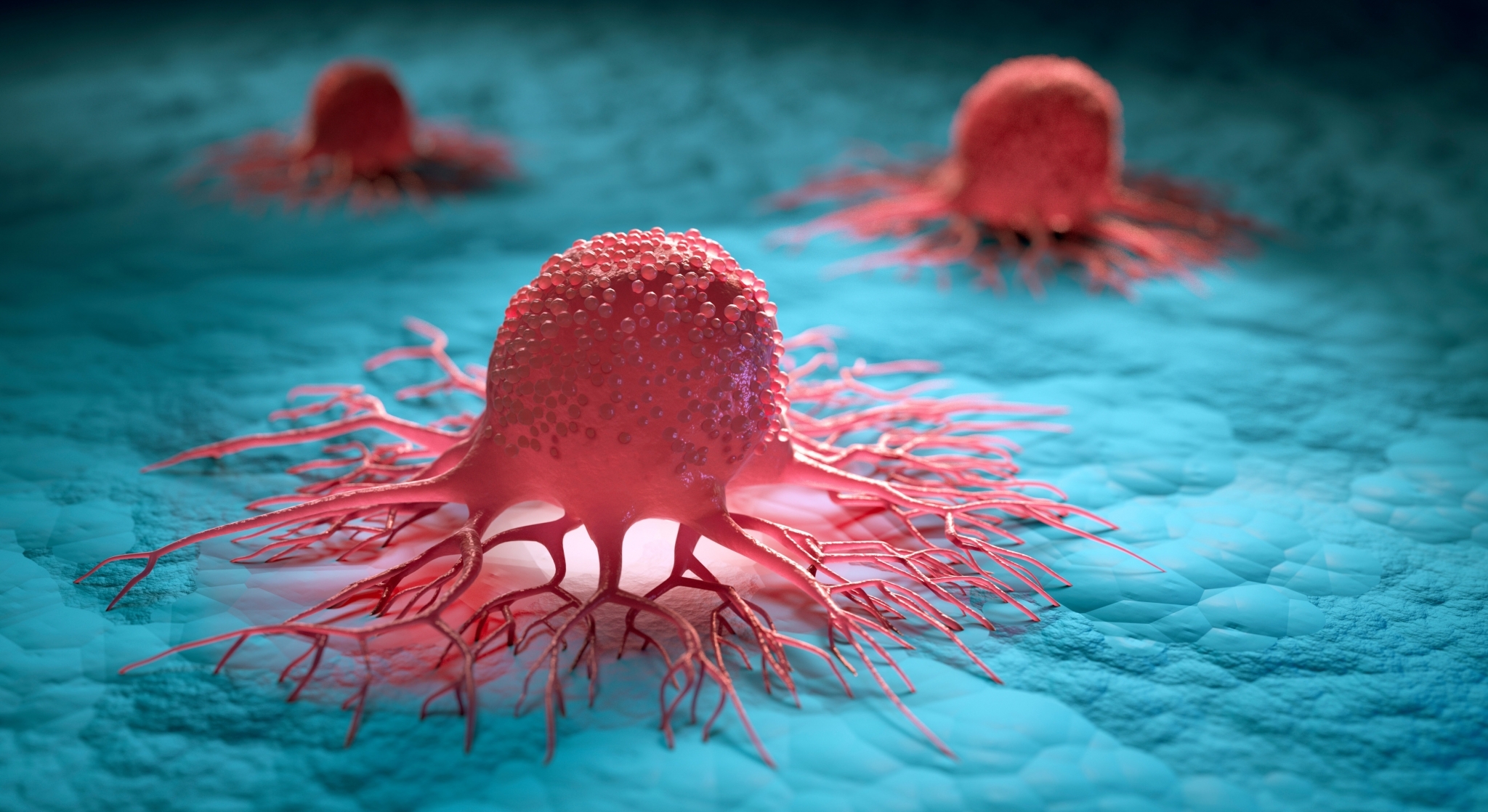 Nuvectis: cancer drug takes a major step closer to patient care