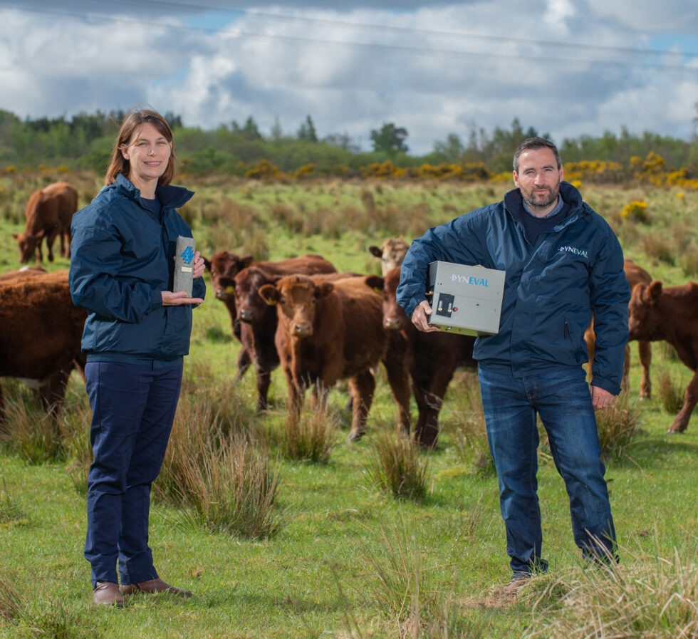 Dyneval and Waterwhelm take top awards at Scottish EDGE