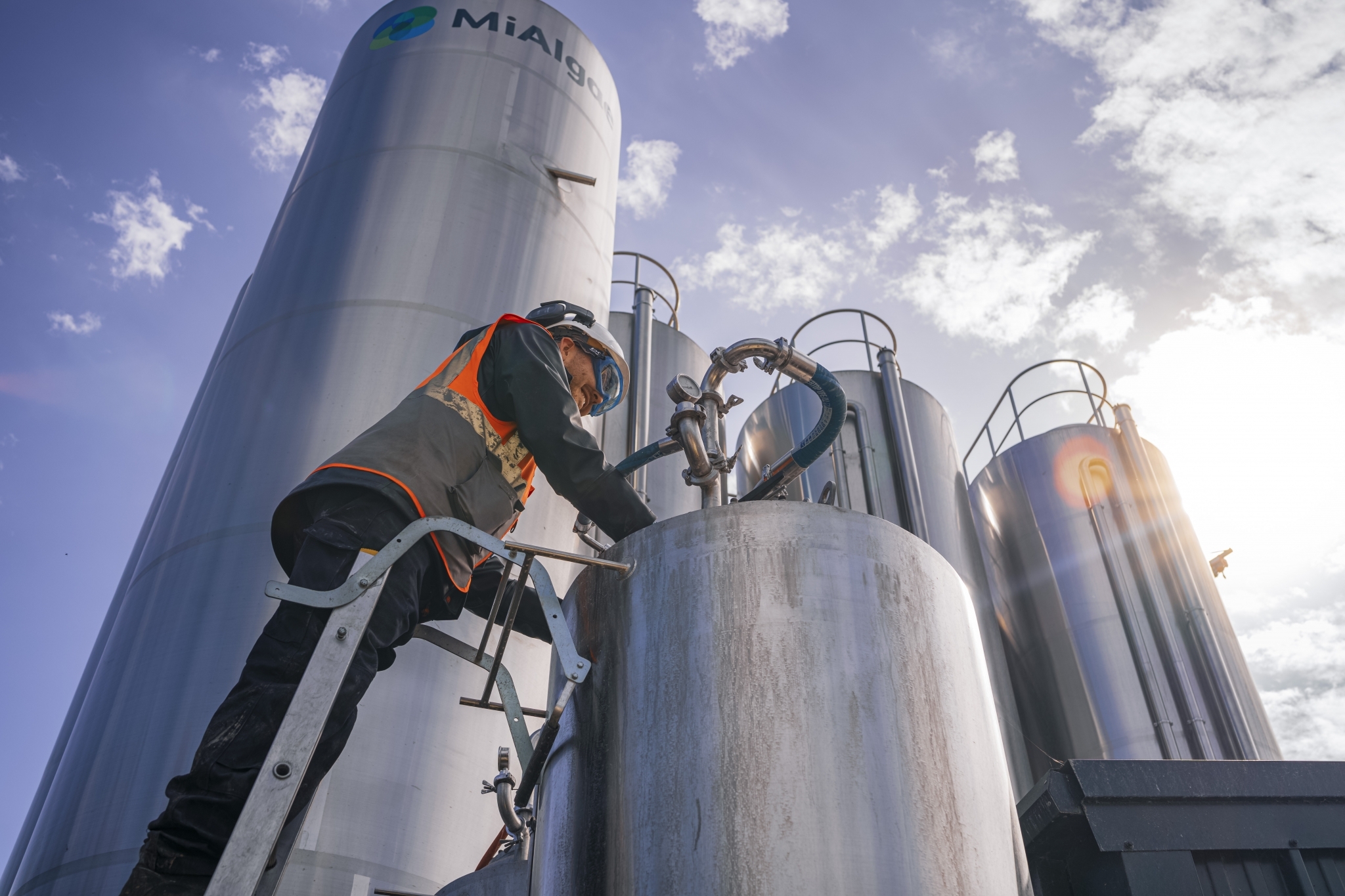 Biotech startup MiAlgae raises £14m for new production facility