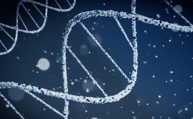 Biotechnology