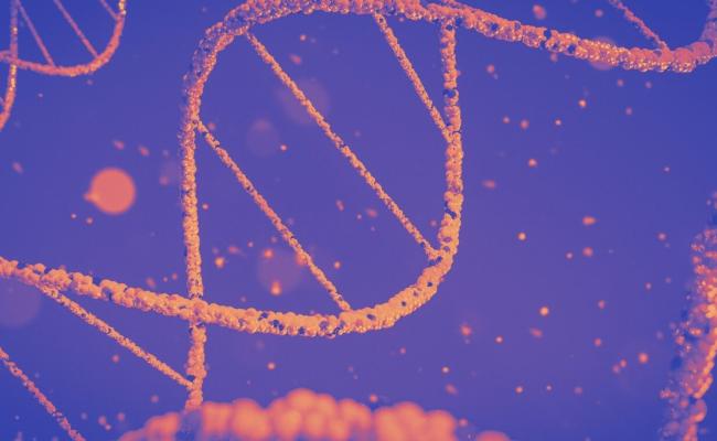 Genetics and Cancer