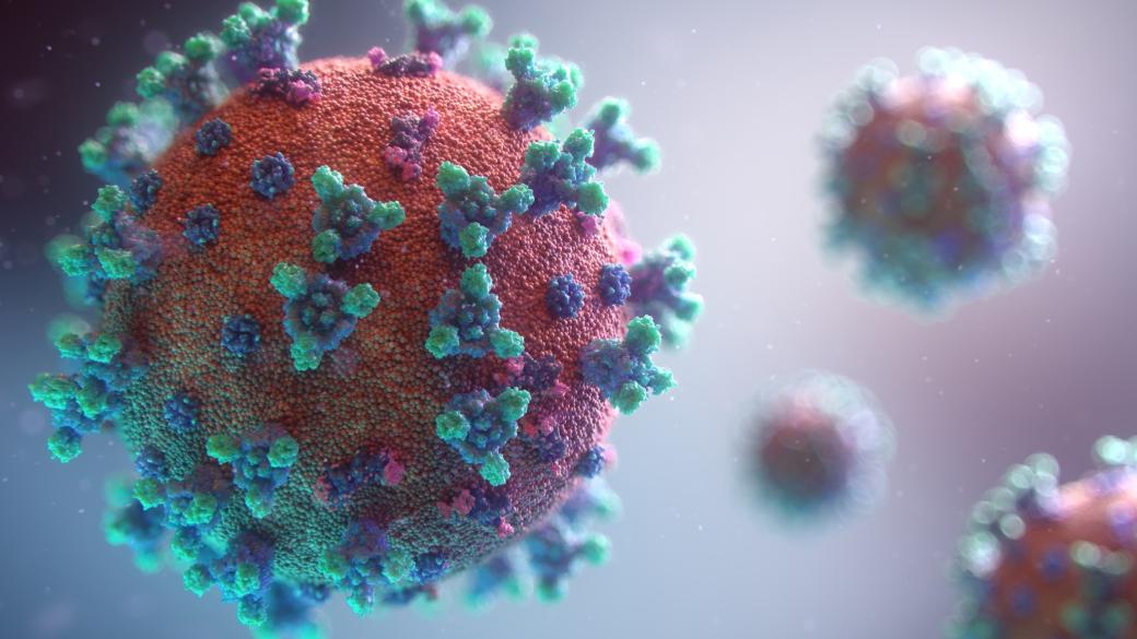 Identifying structurally stable peptides