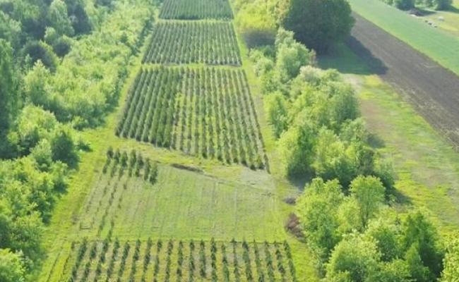 Nature Finance