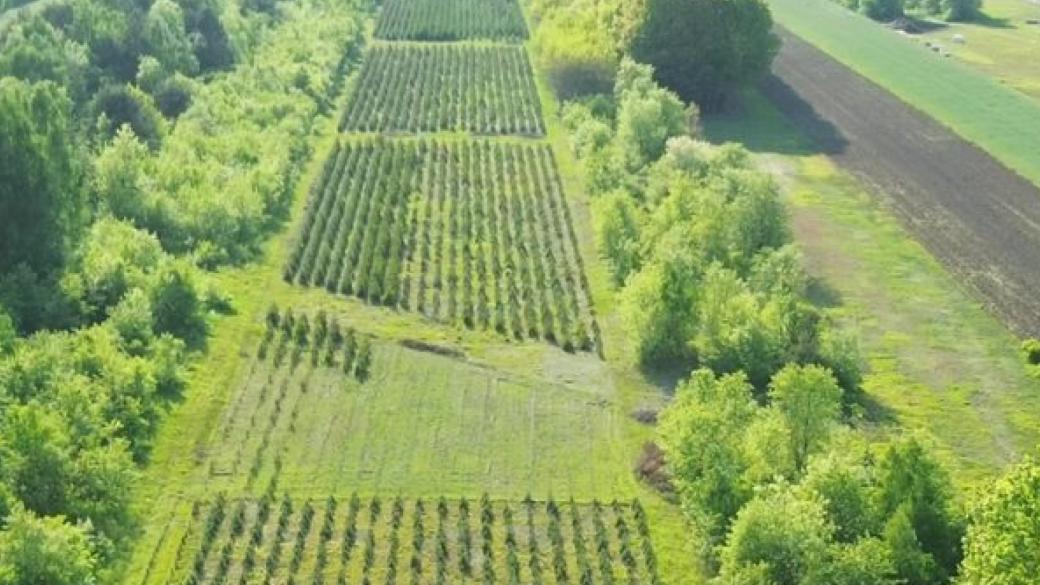 Nature Finance