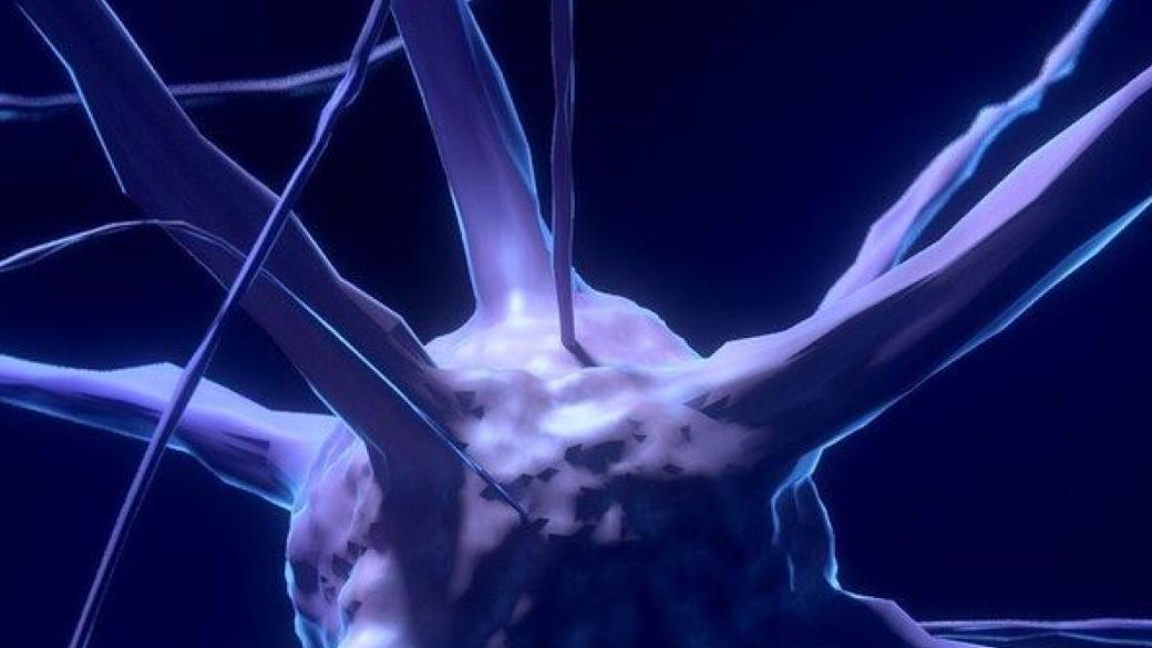 Neuroscience