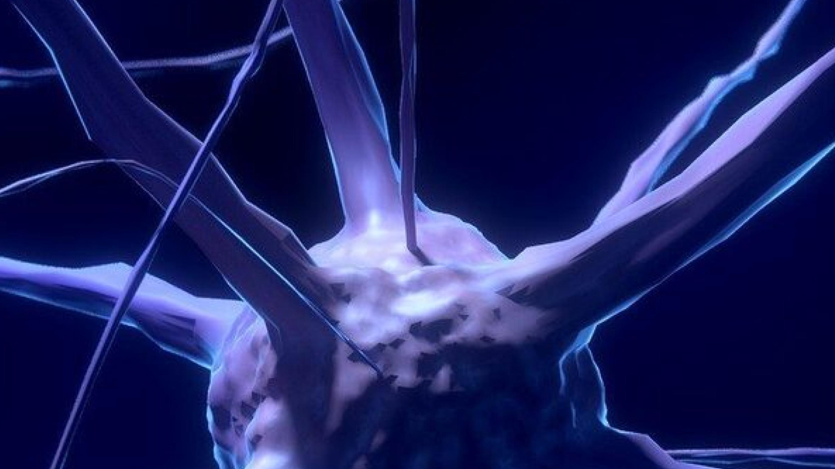 Neuroscience