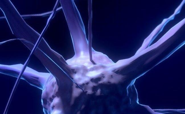 Neuroscience