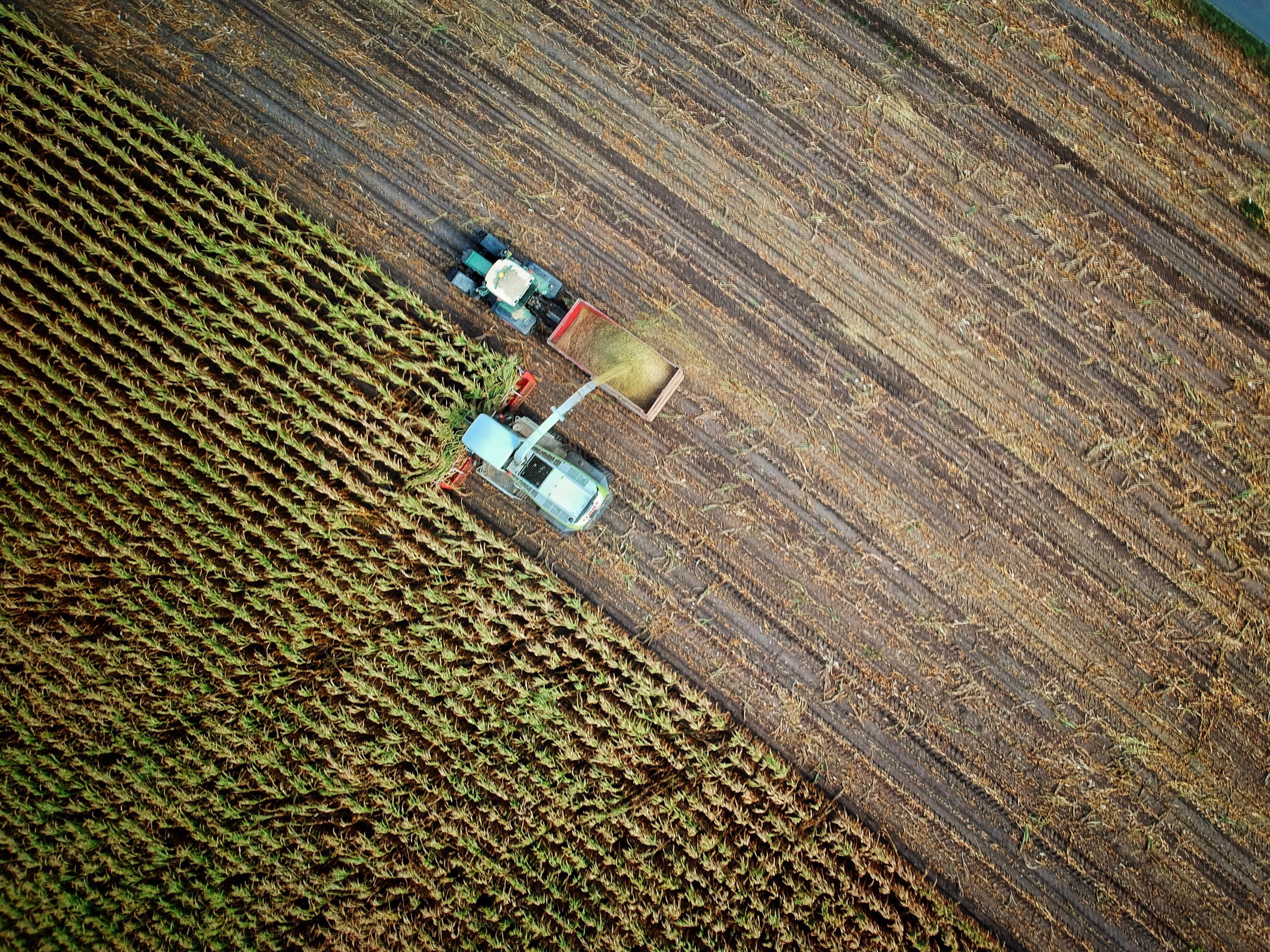 Circularising the bioeconomy
