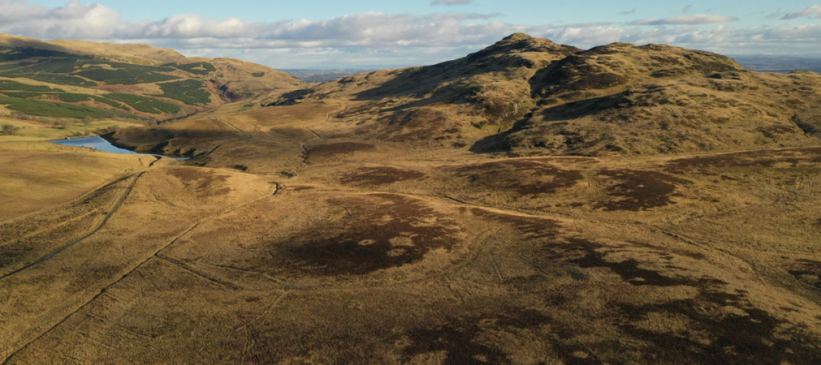The University's Forest and Peatland programme