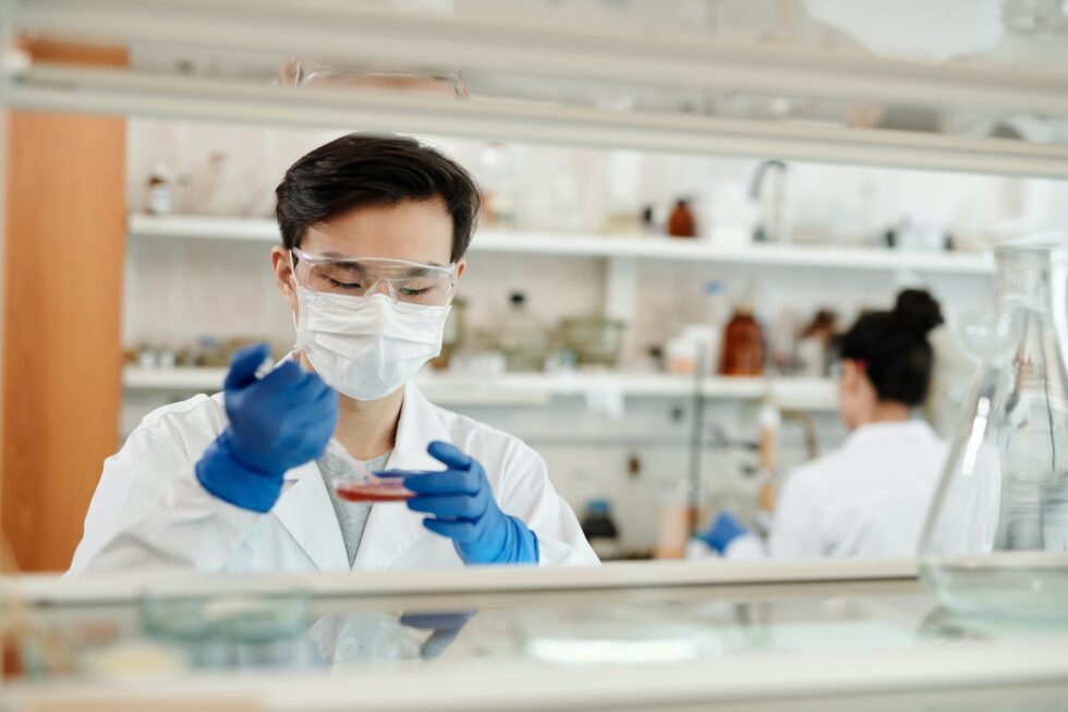 Boehringer Ingelheim: big pharma mentoring for researchers