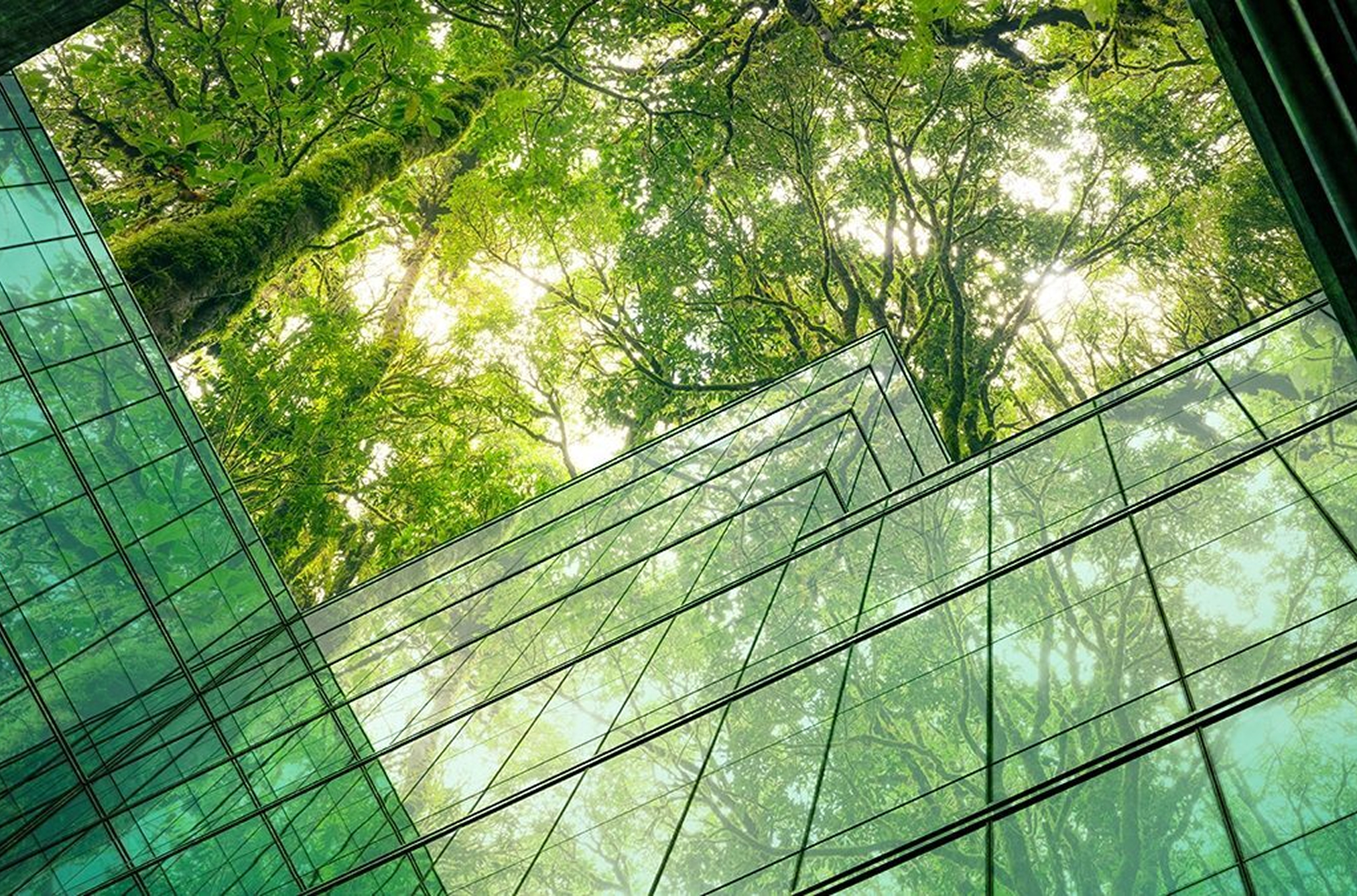 Establishing green standards for financial markets