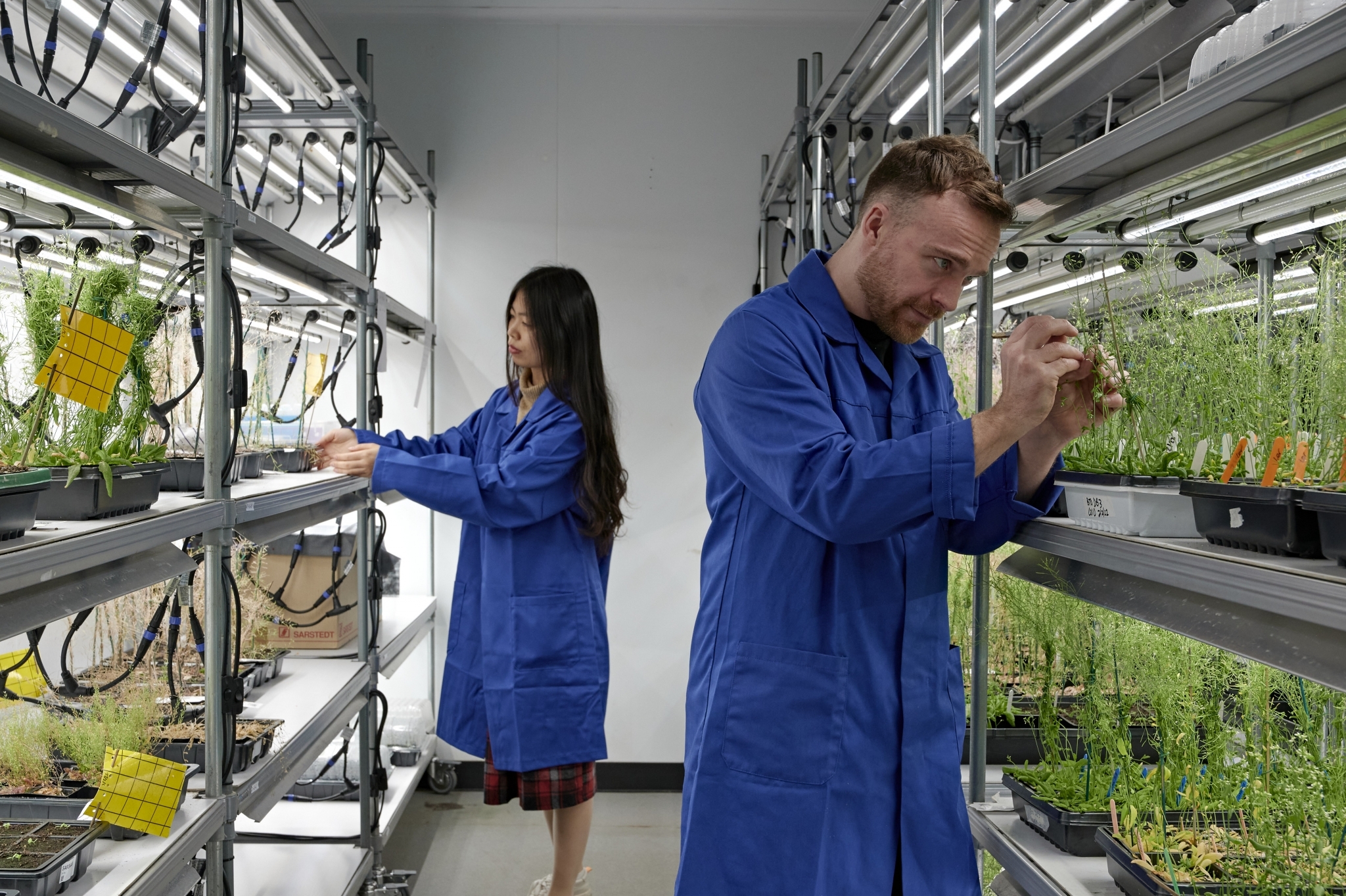 Edinburgh Plant Growth Facility